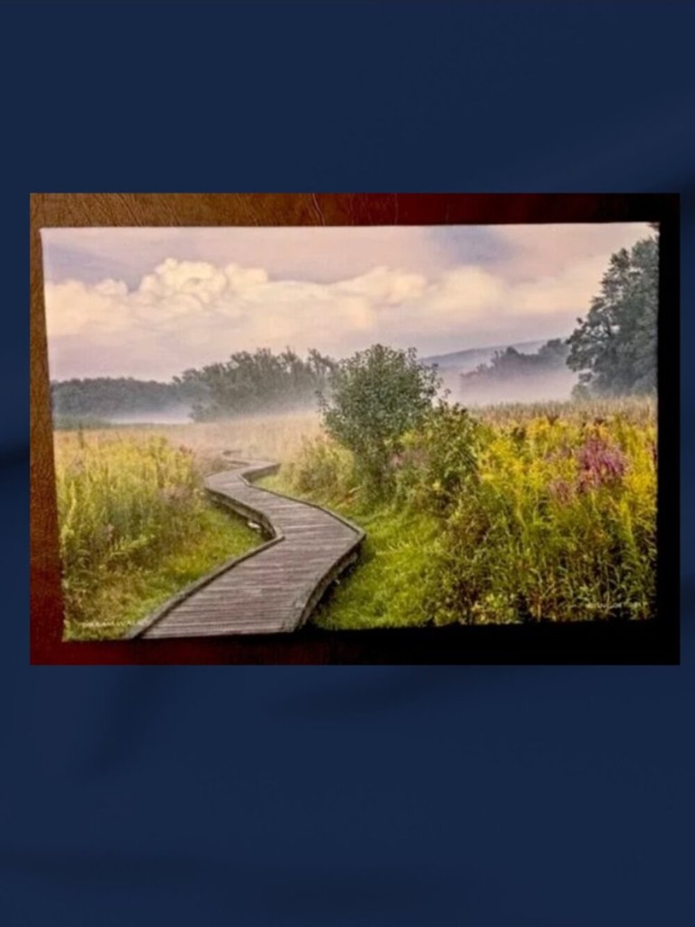 Nick Zungoli "Dream Walk" Canvas Print On Stretched Thin Canvas 8 x 12